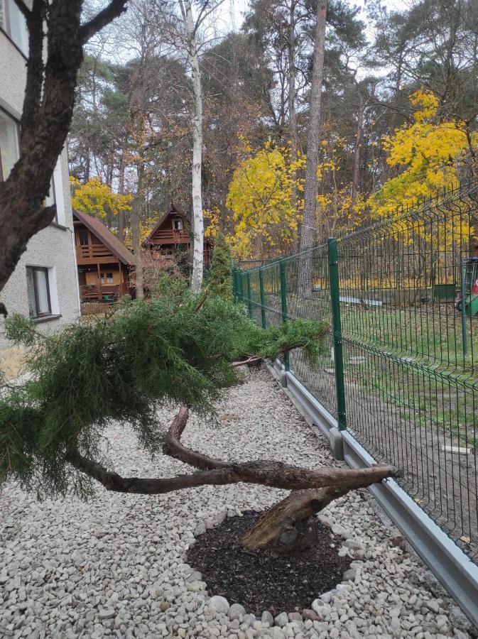 Chatki Saturnina I Pokoje Swinemünde Exterior foto