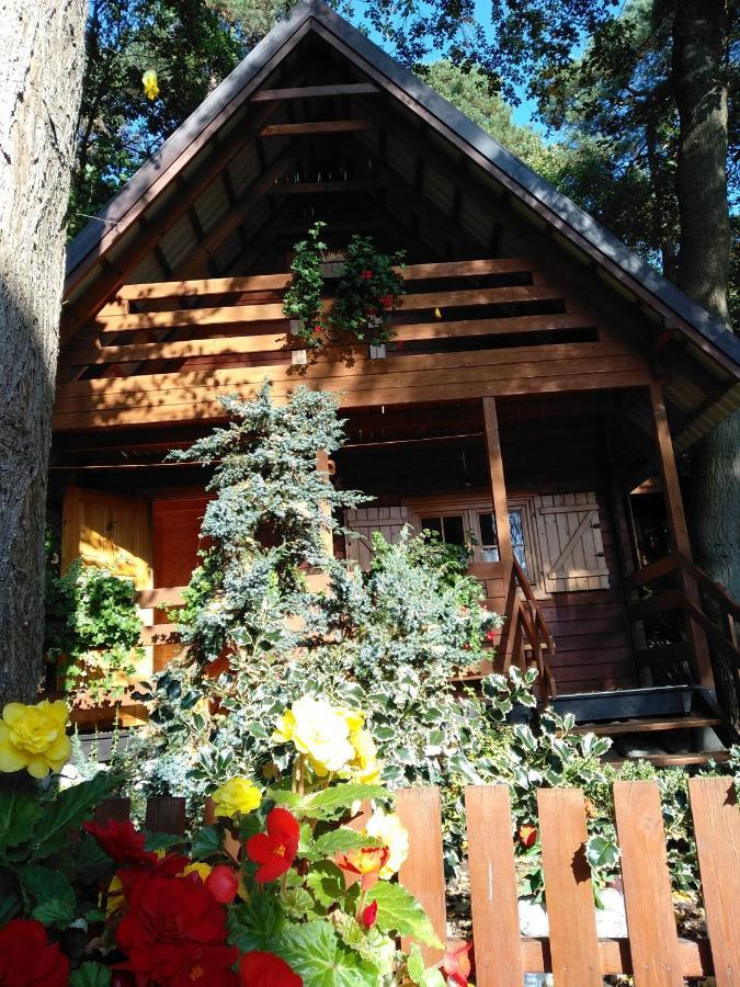 Chatki Saturnina I Pokoje Swinemünde Exterior foto